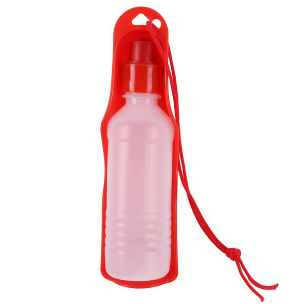 Foldable Portable Pet Water Bottle - Elliott's Outdoor Store
